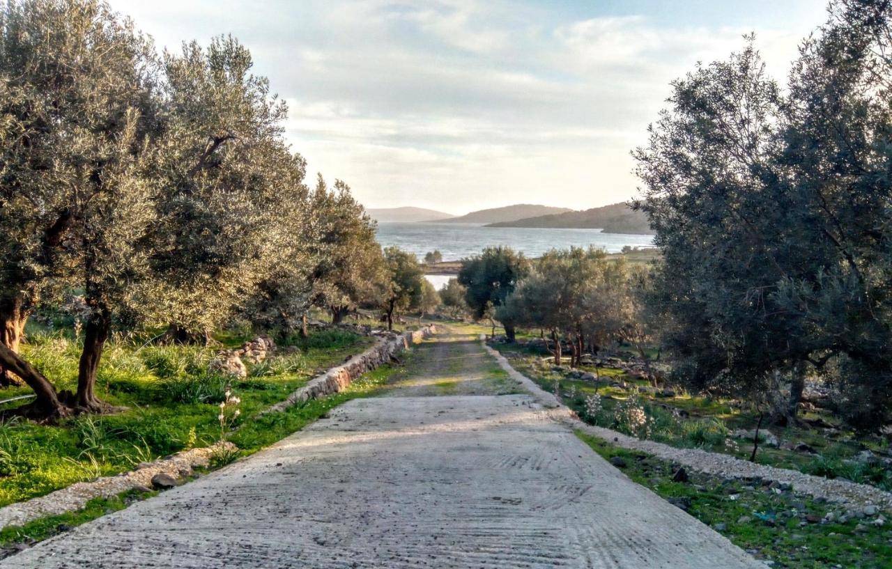 "Koukmos Beach" Greenspace Living - Private Sandy Beach Parákoila Екстериор снимка