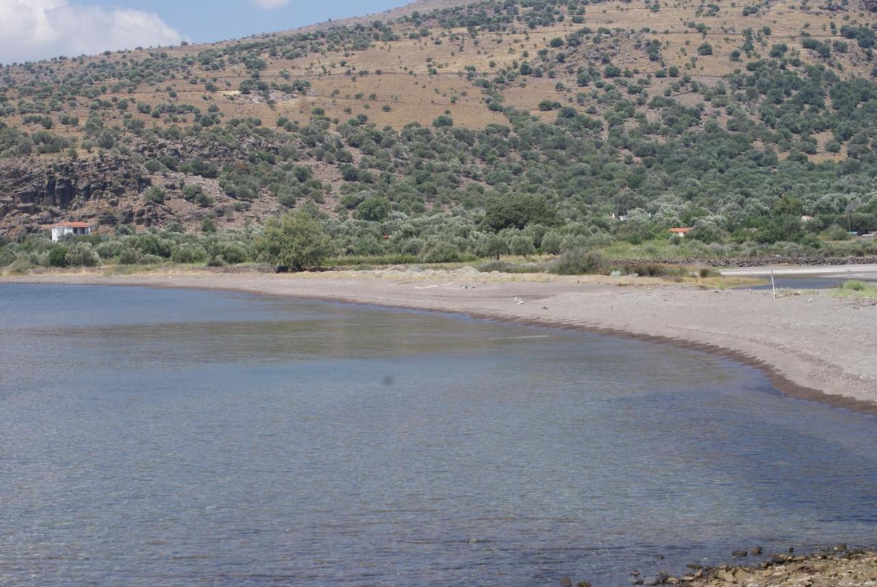 "Koukmos Beach" Greenspace Living - Private Sandy Beach Parákoila Екстериор снимка